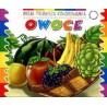Owoce. Moja pierwsza kolorowanka 