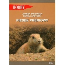 Piesek preriowy 