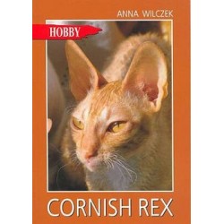 Cornish rex 