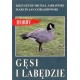 Gęsi i łabędzie 