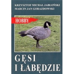 Gęsi i łabędzie 