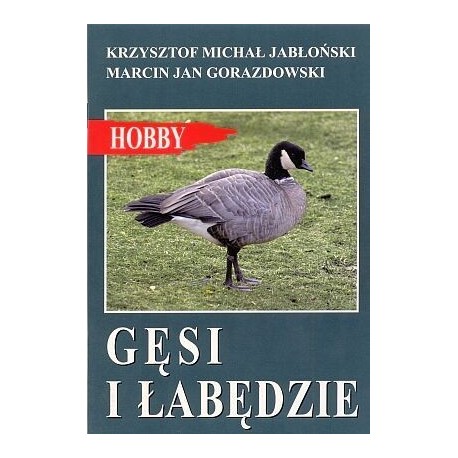 Gęsi i łabędzie 