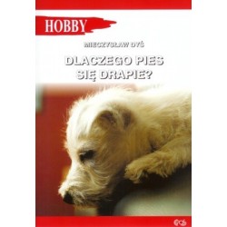 Dlaczego pies się drapie? 