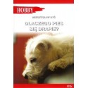Dlaczego pies się drapie? 