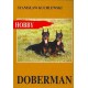 Doberman 