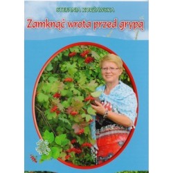 Zamknąć wrota przed grypą 