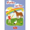 Zetka na łące