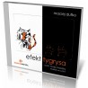 Efekt tygrysa. Audiobook