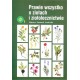 Prawie wszystko o ziołach i ziołolecznictwie