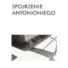 Spojrzenie Antonioniego