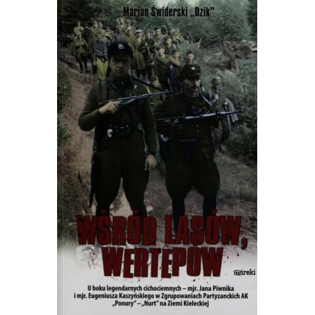 Wśród lasów, wertepów