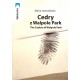 Cedry z Walpole Park / The Cedras of Walpole Park