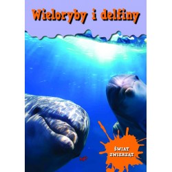 Wieloryby i delfiny Encyklopedia Świat Zwierząt
