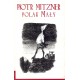 Polak mały