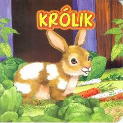 Królik