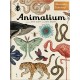 Animalium. Muzeum zwierząt motyleksiazkowe.pl