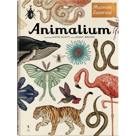 Animalium. Muzeum zwierząt motyleksiazkowe.pl