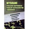 Wybrane społeczno-gospodarcze problemy bezpieczeństwa i obronności