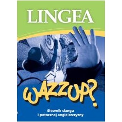 Słownik slangu i potocznej angielszczyzny