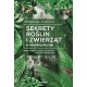 Sekrety roślin i zwierząt w miejskiej dżungli