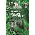 Sekrety roślin i zwierząt w miejskiej dżungli