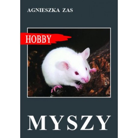 Myszy