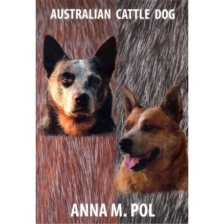 Australian Cattle Dog