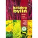 Katalog bylin. Kwiaty, trawy, paprocie