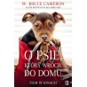 O psie, który wrócił do domu