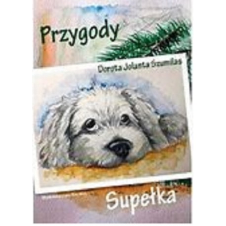 Przygody Supełka