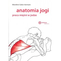 Anatomia jogi praca mięśni w jodze
