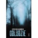 Odludzie
