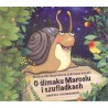 O ślimaku Marcelu i szufladkach audiobook