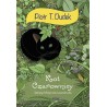 Kot Czarownicy