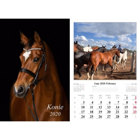 Kalendarz 2020 Konie 13 plansz