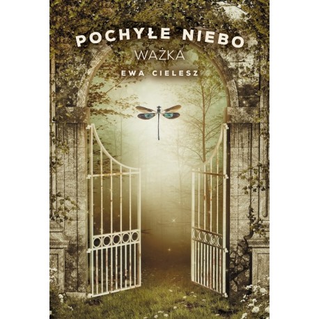 Pochyłe niebo 3 Ważka