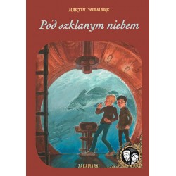 Pod szklanym niebem