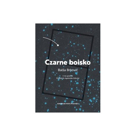 Czarne boisko