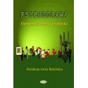 Psychodrama. Elementy teorii i praktyki