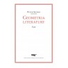 Geometria literatury Eseje