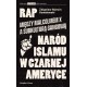 Rap. Między Malcolmem X a subkulturą gangową