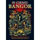 W cieniu Bangor