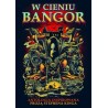 W cieniu Bangor