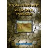 Prawdziwe źródła Polski