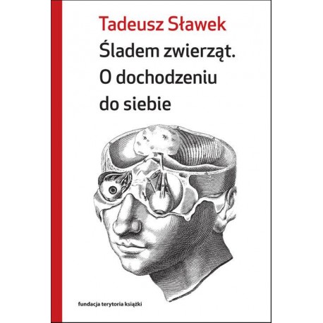 Śladem zwierząt. O dochodzeniu do siebie