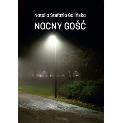 Nocny gość