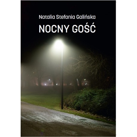 Nocny gość