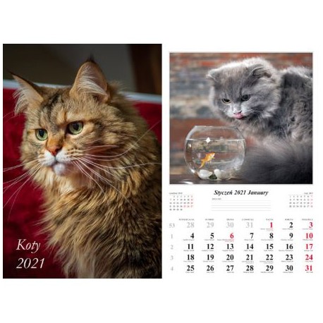 Kalendarz 2021 Koty 13 planszowy