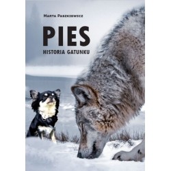 Pies. Historia gatunku