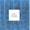 Między historią idei a metafizyką